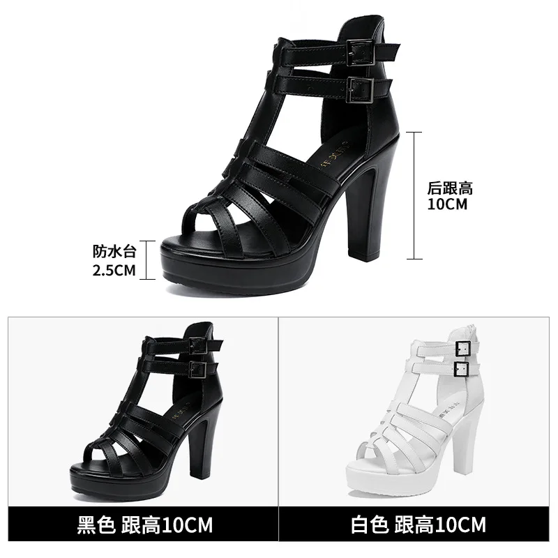 Gladiator Ladies Shoe for Wome - Women'S Shoes Peep Toe บทวิจารณ์และราคา